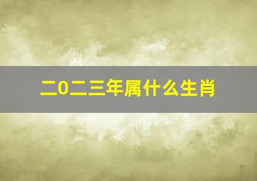 二0二三年属什么生肖