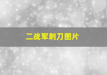 二战军刺刀图片