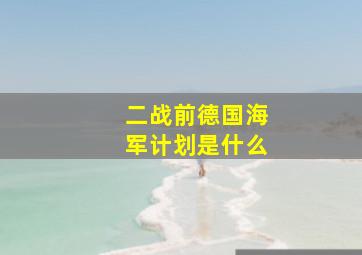 二战前德国海军计划是什么