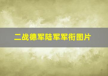 二战德军陆军军衔图片