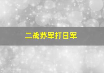 二战苏军打日军