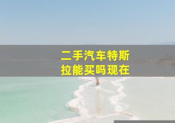 二手汽车特斯拉能买吗现在