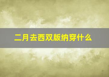 二月去西双版纳穿什么