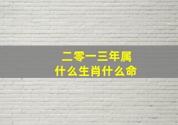 二零一三年属什么生肖什么命