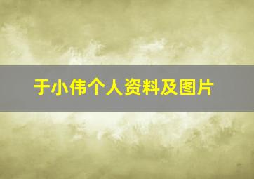 于小伟个人资料及图片