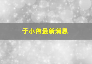 于小伟最新消息