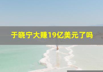 于晓宁大赚19亿美元了吗