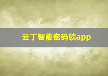 云丁智能密码锁app