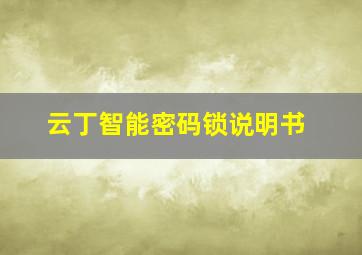 云丁智能密码锁说明书