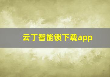 云丁智能锁下载app