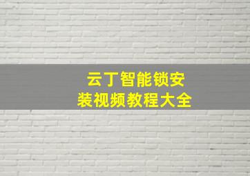 云丁智能锁安装视频教程大全