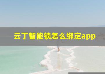 云丁智能锁怎么绑定app