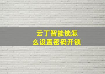 云丁智能锁怎么设置密码开锁