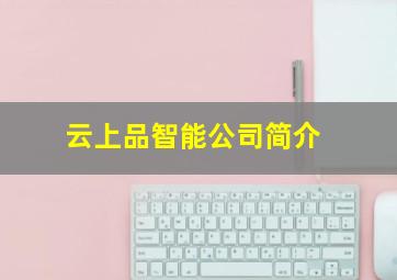 云上品智能公司简介