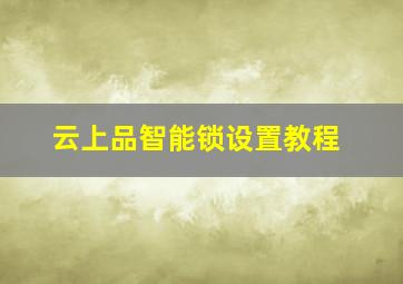 云上品智能锁设置教程