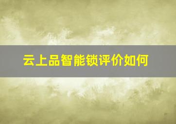 云上品智能锁评价如何