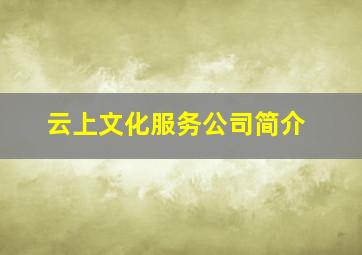 云上文化服务公司简介