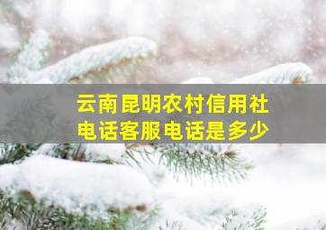 云南昆明农村信用社电话客服电话是多少