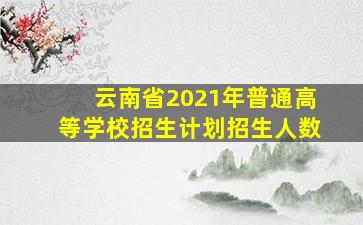 云南省2021年普通高等学校招生计划招生人数