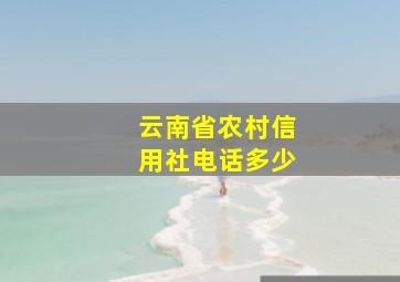 云南省农村信用社电话多少