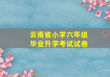 云南省小学六年级毕业升学考试试卷