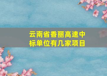 云南省香丽高速中标单位有几家项目