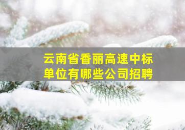 云南省香丽高速中标单位有哪些公司招聘