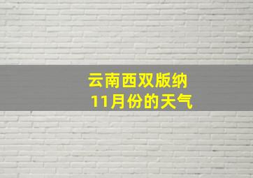 云南西双版纳11月份的天气