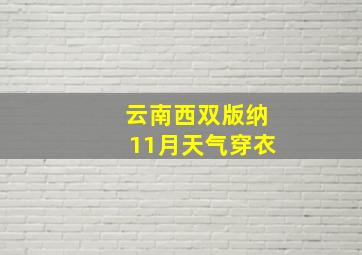 云南西双版纳11月天气穿衣