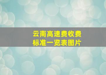 云南高速费收费标准一览表图片