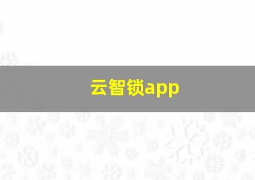 云智锁app