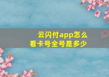 云闪付app怎么看卡号全号是多少