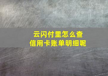 云闪付里怎么查信用卡账单明细呢