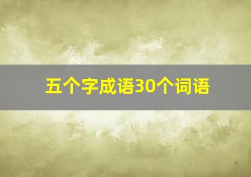 五个字成语30个词语