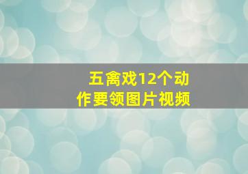 五禽戏12个动作要领图片视频