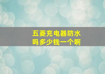 五菱充电器防水吗多少钱一个啊