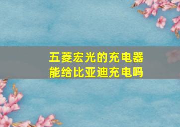 五菱宏光的充电器能给比亚迪充电吗