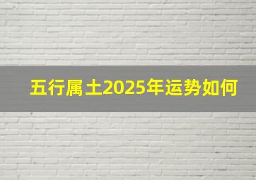 五行属土2025年运势如何