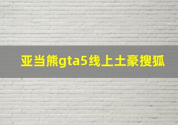 亚当熊gta5线上土豪搜狐