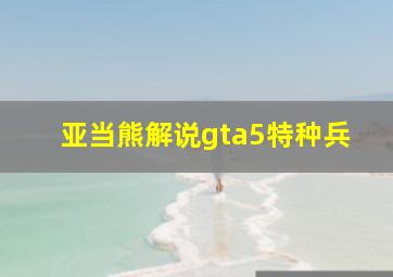 亚当熊解说gta5特种兵