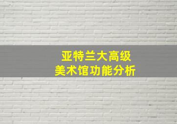 亚特兰大高级美术馆功能分析