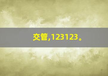 交管,123123。