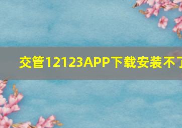 交管12123APP下载安装不了