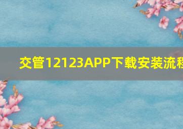 交管12123APP下载安装流程