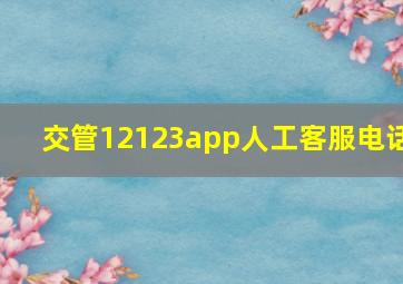 交管12123app人工客服电话