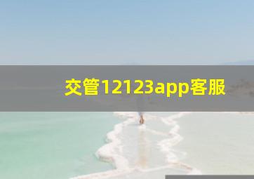 交管12123app客服