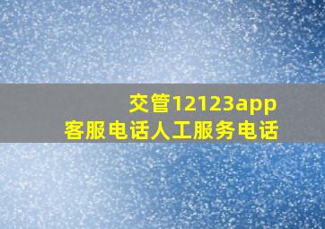 交管12123app客服电话人工服务电话