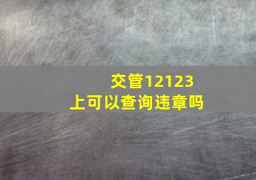 交管12123上可以查询违章吗