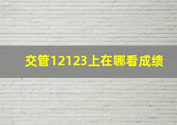 交管12123上在哪看成绩