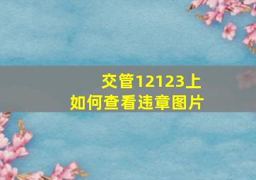 交管12123上如何查看违章图片